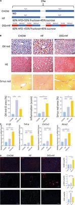 Dextran Sulfate Sodium Salt-Induced Colitis Aggravates Gut Microbiota Dysbiosis and Liver Injury in Mice With Non-alcoholic Steatohepatitis